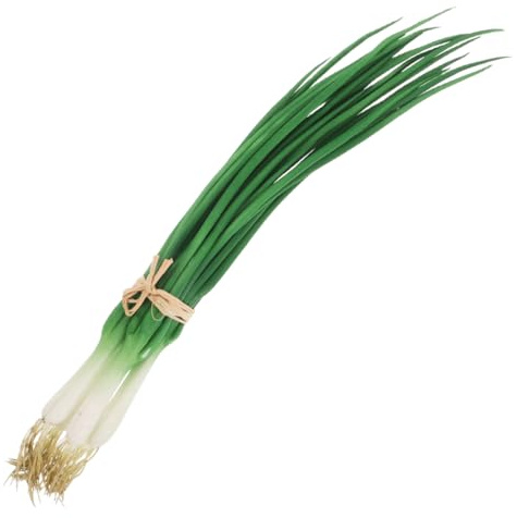 PRETYZOOM Scalogno artificiale realistico Cipolle verdi finte puntelli per la decorazione della cucina Modelli realistici di verdure simulate per la decorazione della casa e del ristorante