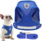 JOOTUEPO Hundegeschirr und Leine Set, Hundegeschirr Kleine Hunde mit Leine, Reflektierendes Step-in-Welpengeschirr mit Dicker Gepolsterter Weste für Kleine Mittelgroße Hunde, XS