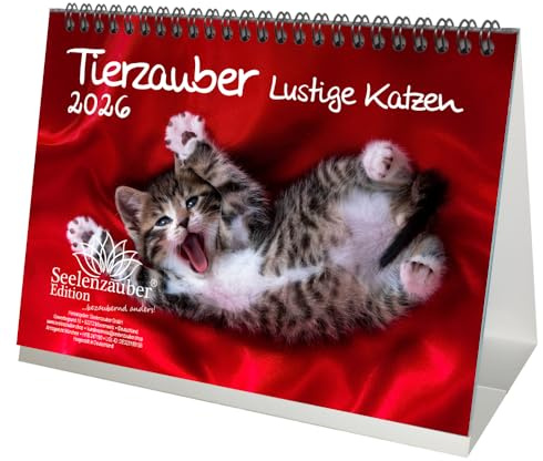 Animali magici divertenti gatti DIN A5 calendario da tavolo per il 2026 gatti divertenti – Set regalo Contenuto: 1 calendario, 1 ciondolo natalizio (totale 2 pezzi)