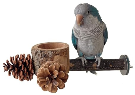 Bird Perch with Feeder for Cage & Chew Toys Pinecones - Bird Cage Accessories 100% Natural & Durable for Cockatiel, Conure, Budgie, Lovebird, Parakeet - Parrot Food Treats Bowl for Foraging