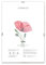 Lupia - Cornice a Giorno APPLY con Pannello Frontale Crilex in Acrilico, Made in Italy, Trasparente, per foto, documenti, pergamene, diplomi, stampe artistiche, poster, quadri moderni 20x30 cm