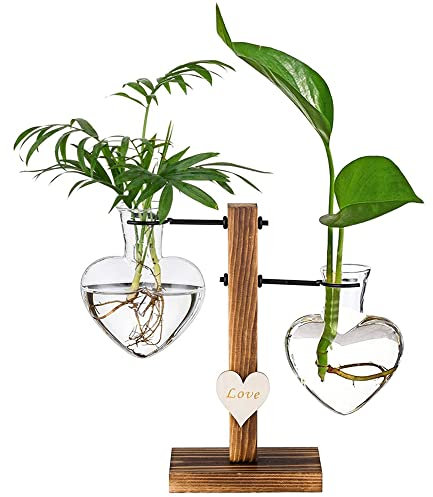 Hydroponik Vase, Hängende Glas Pflanzer, Deko Vase mit Holz Halter, Glasvase, Hängevase Glasvase, Wird für Den Hydroponischen Pflanzenanbau, Büro Dekoration Verwendet