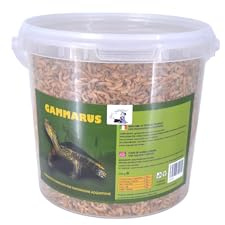 Pet's Solution - Mangime Premium per Tartarughe d'Acqua Dolce, Gamberetti Essiccati, Alta Qualità e Nutrienti Essenziali, Scadenza 10/12/2027-2 Barattoli da 250g