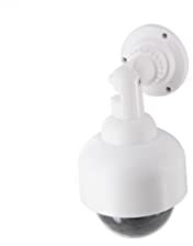 Caméra factice extérieure dôme - Blanc - LED Bleue - Chacon