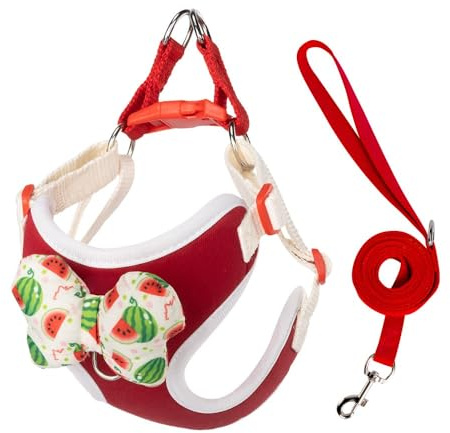 Ensemble harnais et laisse pour chiot avec nœuds amovibles, harnais réglable et léger pour petit chien, idéal pour la marche, la course à pied, le dressage pour chiot, chien de petite et moyenne