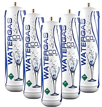 BELLEROFONTE - Bombole CO2 600g per Gasatore – Set Risparmio 5 Pezzi – E290 Alimentare M11x1 – Fino a 120L per Bombola – Compatibile Universale – Made in Italy