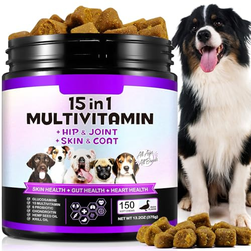Multivitaminvitamintillskott för hundar,sällskapsdjur dagligen 15 i 1 naturliga essentiella multivitamintuggtabletter med B-komplexa vitaminer Hjälp med hjärna,hjärta och ledfunktion - Anka smak(75g)