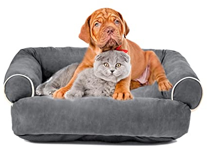 PETCUTE Cama Ortopédica para Gatos y Perros Pequeños, Lavable de Espuma Viscoelástica, Sofá Súper Cómodo Con Fondo Antideslizante, Cojín para Mascotas