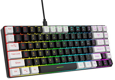 Goshyda 80% Gaming Keyboard, Wired 84 Keys Ergonomic Type C Desktop PC Keyboard with Adjustable RGB Backlit Effect, for Home Office Laptop Work Gaming, for Windows, for OS X (Black)