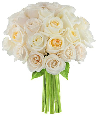 KaBloom PRIME NEXT DAY DELIVERY - Bouquet of 25 White RosesDirect Fresh.Gift for Birthday, Sympathy, Anniversary, Get Well, Thank You, Valentine, Mother’s Day Fresh Flowers