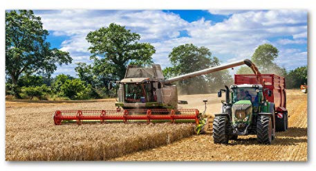 Tulup Leinwandbild - Wandkunst - Drucke auf Leinwand - Leinwanddruck -100x50 cm - Fahrzeuge - Mehrfarbig - Mähdrescher Traktor