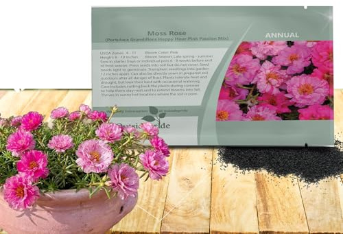 Outsidepride Pink Mixed Moss Rose Seeds - 500 Pcs Annual, Drought & Heat Tolerant, Pollinator Friendly Ground Cover Seeds for Planting w/Vibrant Blooms & Succulent Foliage, Ideal for Xeriscaping