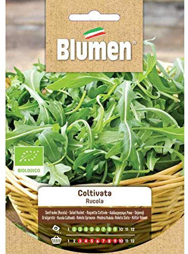 BLUMEN SEMENTI BIOLOGICI, RUCOLA COLTIVATA