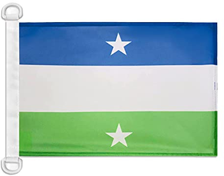 Pavillon nautique Royaume d'Araucanie et de Patagonie 45x30cm - Drapeau de bateau royaume de Nouvelle-France 30 x 45 cm - AZ FLAG