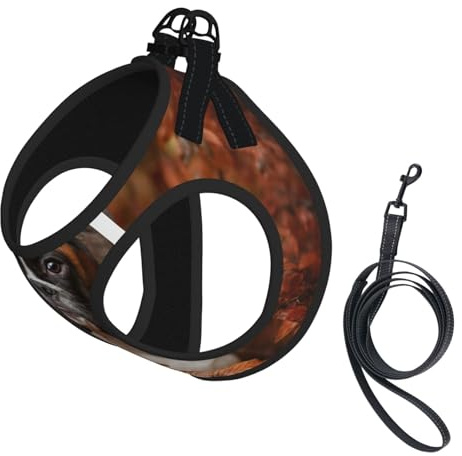 Chiens Boxer Automne,Harnais pour Animaux de Compagnie, Harnais réfléchissant réglable pour Chien,M