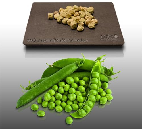 75 grammes de graines à semer - Le Grenier d'Abondance - POIS Nain Merveille de Kelvedon - Pisum sativum