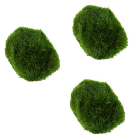 Biotope Aquatics Ltd - Live Marimo Moss Ball, Cladophora aegagropila, Aquarium Plant (3 x Moss Balls (2-3cm))