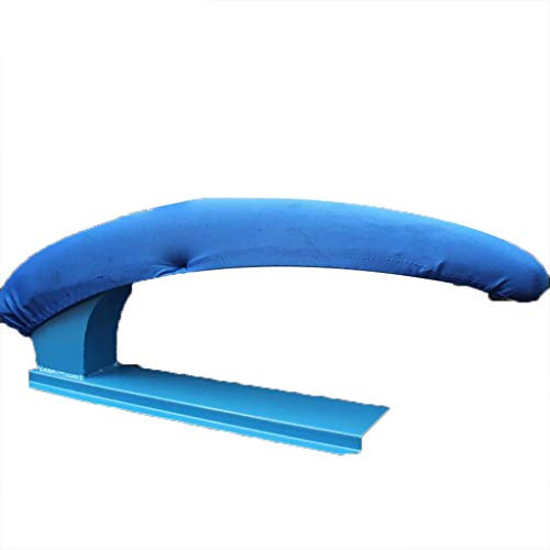 TT&CC Stiramaniche ASSE da Stiro, Contorno in Acciaio Alto Robusto Resistente al Calore Grande Spugna Blu Opaco Professional -A