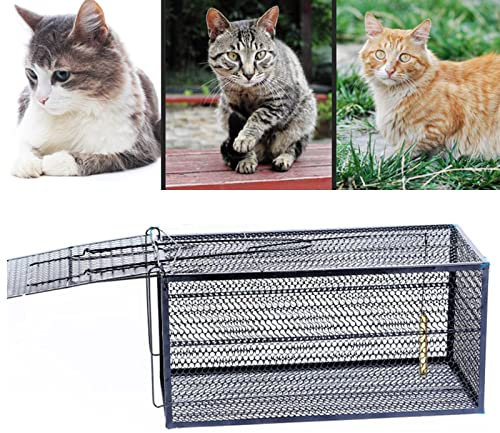 Trampa para animales Jaula para trampa para conejos: trampa para gatos para gatos callejeros, trampa humana para gatos salvajes a prueba de óxido y duradera para granjas, jardines, huertos familiares,