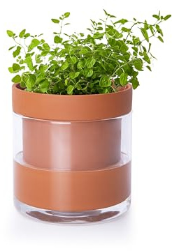Phoenix Vine 52-A-E-1 Pot de Fleurs en Terre Cuite avec réservoir en Verre pour Plantes d'intérieur, Herbes, Fleurs, 10,2 cm
