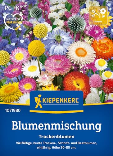 Kiepenkerl Blumensamen-Mischung Trockenblumen 1071980 - Vielfältige Trockenblumen für kreative Arrangements - circa 30-80cm - Wildblumensamen, Blumenmischung