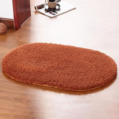 SBJKLYRN Carpeting Modern Soft Shaggy Carpet Comfortable Floor Mat Area Rugs Anti Slip -Modern Super Soft Thick Pile For Kids Living Room(Brown,60 * 120cm)