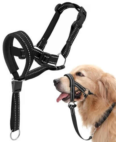CHAOTEMAI Museruola Cane Taglia Media Grande Cinghie Regolabili Collare Addestramento Cani Fibbia di Sgancio Collare Antiabbaio per Cani Traspirante per Allenamento Quotidiano Viaggi