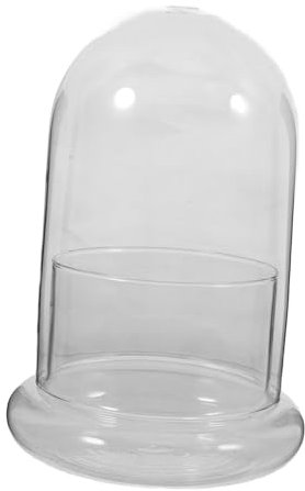 TOYANDONA Vase Transparent pour Plantes Et pour Terrarium Décoration De Bureau Et Jardin Conteneur à Fleurs Présentation Élégante des Plantes