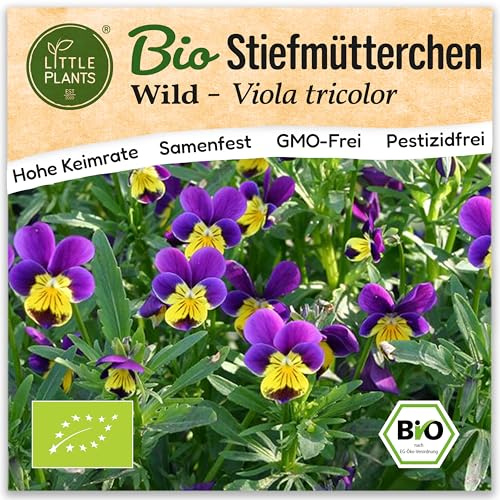 Little Plants BIO Stiefmütterchen Samen (Wild)150 Ackerveilchen Blumensamen Mädchenauge Samenfest für Blumengarten Blumen Saatgut Balkon und Garten