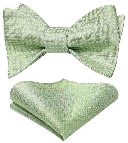 HISDERN Fliege Herren mit Einstecktuch - Fliegen für Herren Salbeigrüne Hochzeit Schleife Gepunktete Selbstbinden und Taschentuch Set