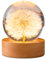 Sporgo Pusteblume Kristallkugel Nachtlicht: 6 cm Glaskugel mit LED Holzsockel, Blumen Glaskugel Nachtlampe Dekorationen USB Holzsockel mit Schalter, Glaskugel Lampe für Wohnkultur, Geschenke