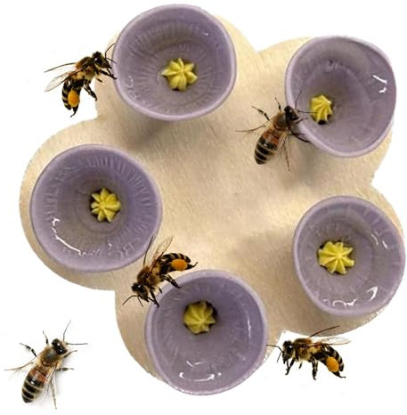 SQYJWD insekten trinkbecher, bienen und insekten trinkbecher, Bienenbecher, bienen cup, bienentränke, Bienen brauchen sichere Orte zum Trinken, Bienenbecher sammeln einen Teelöffel Wasser(Color:Lila)