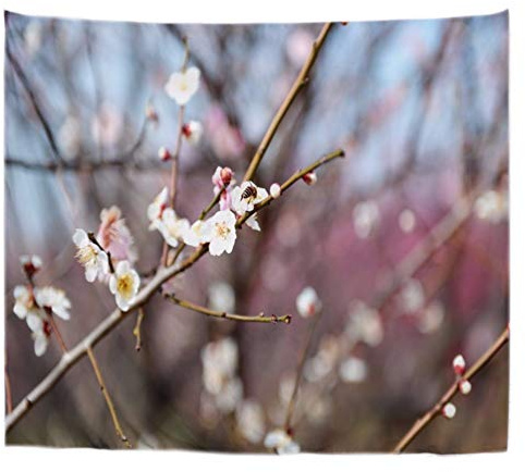 A.Monamour White Spring Flowers Apricot Flowers On The Tree Spring Garden Scenery Photography Printed Polyester Fabric Tapestry Wall Hangings Wall Art Decors For Living Room Bedroom Dorms