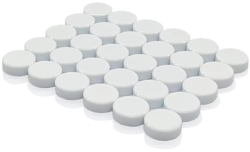 PYJLBX Calamite Frigorifero, 30 Pezzi Magnete Colorati Calamita Rotondi, Magneti frigo, Calamite per Lavagna Magnetica, per Bacheca, Frigo, Calendari (Bianco)
