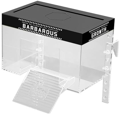 KiBcsLic Zone de Repos surélevée pour Petites Tortues Terrestres en Aquarium, 20 Cm X 14 Cm X 14