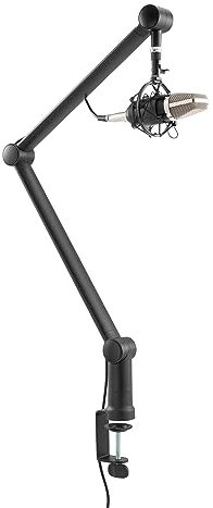 RICOO Mikrofon Arm MS061 Mikrofonständer Mikrofonhalter Schreibtisch Mikrofonarm klappbar Mikrofonhalterung Tisch Microphone Ständer Mic Stand Mikrofonstativ Mikroständer