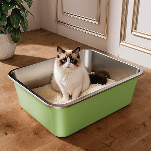 Bac Litiere pour Chat en INOX, Bac à Litière pour Grands Chats, Chatons et Lapins, Caisse Chat Litiere XXL, Litiere Toilette pour Maine Coon, Anti-Adhérent, Anti-Odeurs (Vert, 45 * 35 * 15cm)