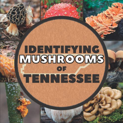 Identifying Mushrooms of Tennessee: A Simple Identification Picture Guide Book For Beginners to Identify Mushrooms and Fungi