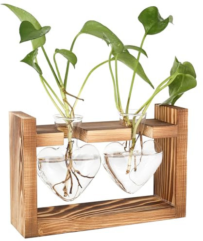 bssmmai Station de propagation en verre pour plantes - Vase vintage avec cadre en bois - Pour la maison, le salon, le bureau, l'étagère, le rebord de fenêtre - Vase hydroponique - Petit terrarium pour