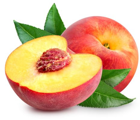 Peach Tree, 1 x Tall Plant in a 10 Litre Pot,1.4 to 1.6 Metre Height, Peach, Fruit Trees, Peaches, Garden Ready and Ready to Plant, Premium Quality Fruit