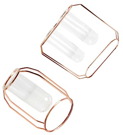 CAXUSD 2stücke Geometrische Blumenvase Eisen Und Kunststoff Hydroponik-blumengefäß Kreative Tischdekoration Für Stilvolle Wohnräume Mit Vasen