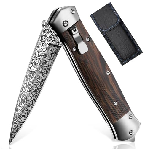 TAN REN Damastmesser Taschenmesser Outdoor, Hochwertig Klappmesser Damaststahl aus VG10 Edelstahl, Taschenmesser Damaststahl für Wandern Bushcraft Camping Geschenke für Männer