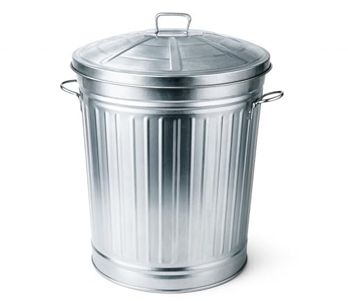 PALUPLUS Bidone per Rifiuti in Metallo Zincato, Misura 37x37x41 cm, Pattumiera con Coperchio e Maniglie, Secchio per Immondizia Antiruggine da Esterno -3539C -2,93 (35 Litri)