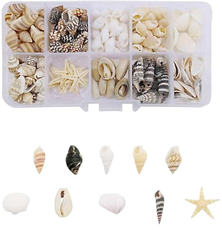 Kaelix 220+ Mixed Sea Shells Starfish for Crafts, DIY Decorations, Beach Decor, and Aquarium Projects