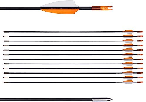 LWANO 31 Training Arrows-Archery Practice Target Arrows for Kids Youth or Beginners with Durable Shaft on Recurve Bow Compound Bow and Longbow