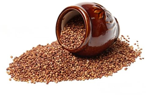 French Marigold 'Bonita' Mix Dwarf Double - 450 Seeds + Plant tag + Freebie (Tagetes patula Nana)