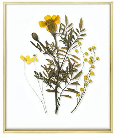 Frametory, Floating Picture Frame 16x20 - Gold Aluminum Metal Photo Frame - Real Glass of Front - for Wall Mount Displays