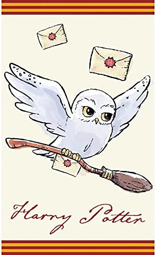 Harry Potter Hedwig HP213003-R Kinder-Handtuch 30 x 50 cm