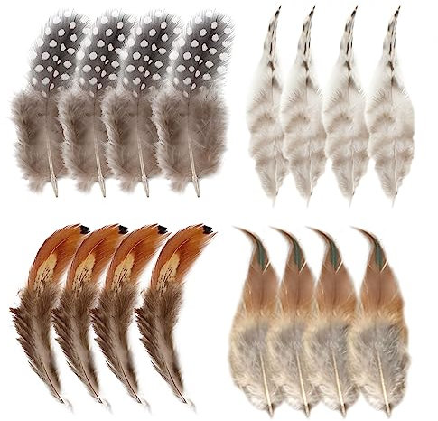 200 Stück Natur Federn zum Basteln Deko Bastelfeder Fasan Federn Hühnerfeder Gemischte Federn für DIY Traumfänger Kostüm Karneval Masken Halloween Kranz (4 Größe)