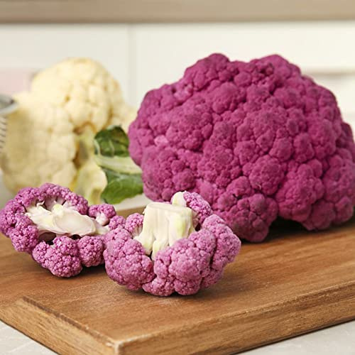 Coliflor Parterres elevados el jardín Semillas de coliflor verdes orgánicas exóticas semillas de resistentes en jardín 450semillas